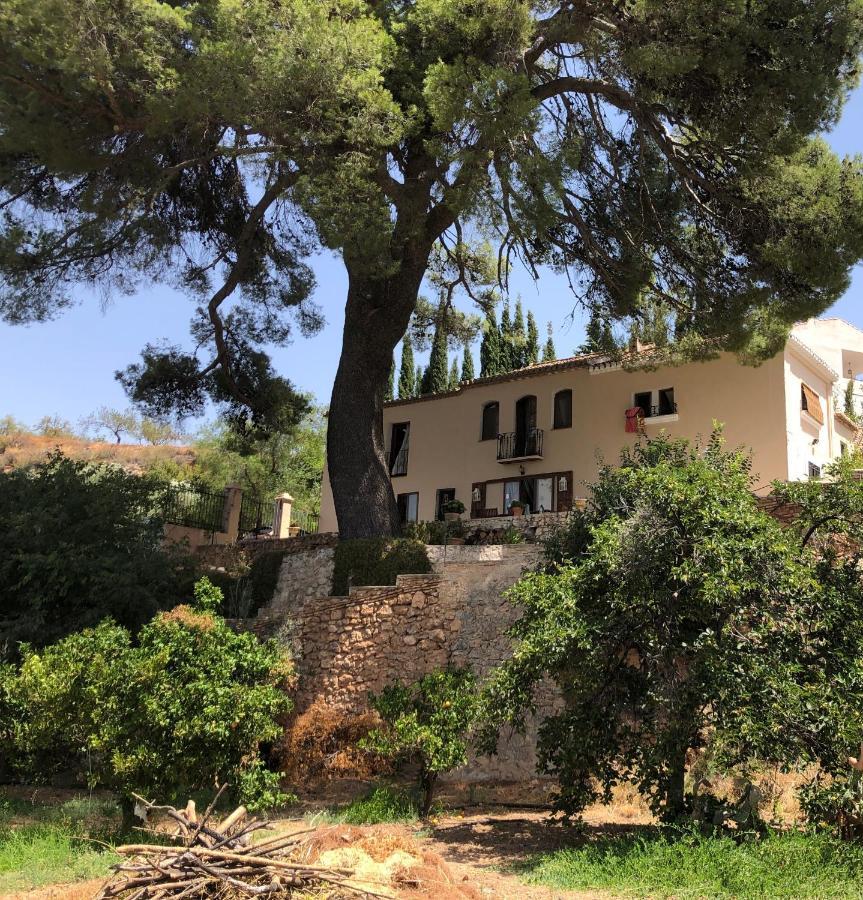 Cortijo El Pino Retreat Bed & Breakfast Albuñuelas Exterior foto