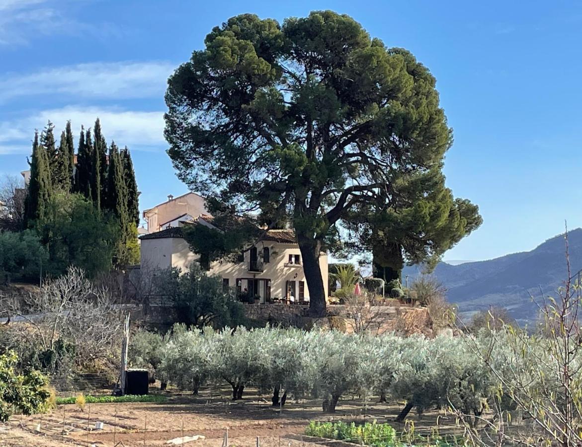Cortijo El Pino Retreat Bed & Breakfast Albuñuelas Exterior foto